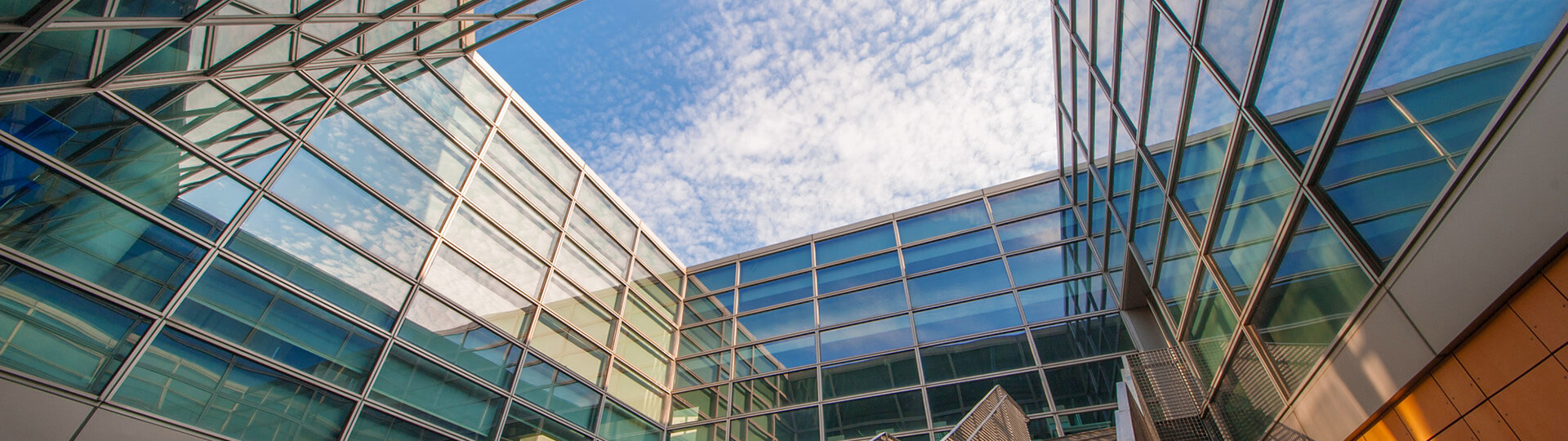 Southern University of Science and Technology campus